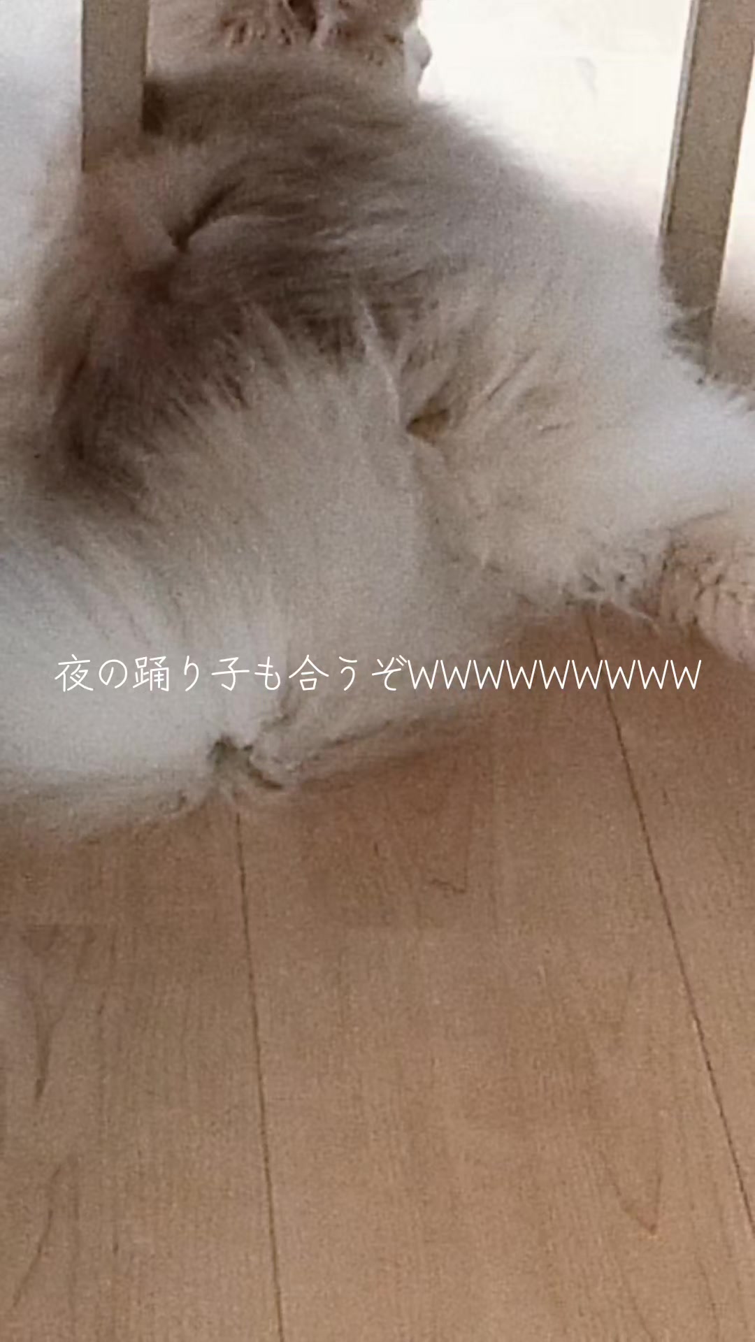 @みたらし団子揚げ