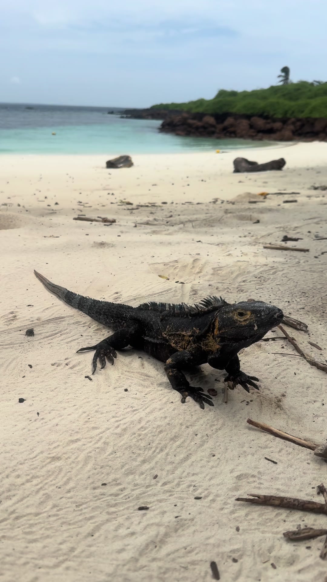 @Coral tours Panam&aacute; 🇵🇦