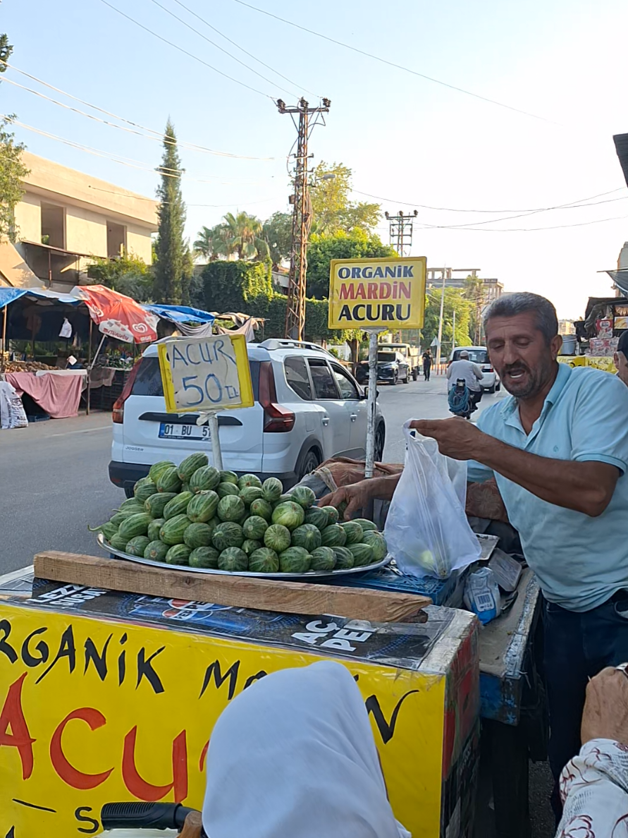 @Fenomen Acurcu fatih malgir