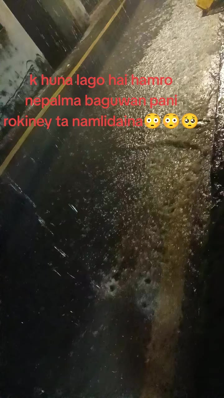@roshniraibaniya