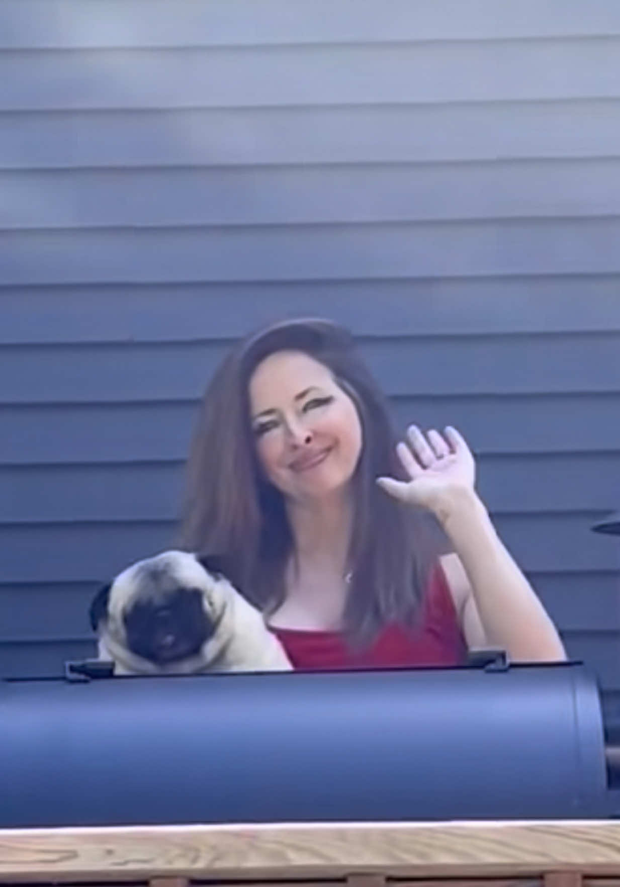 @PEARL - Quadruple-Amputee Pug