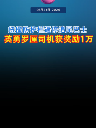@中国报