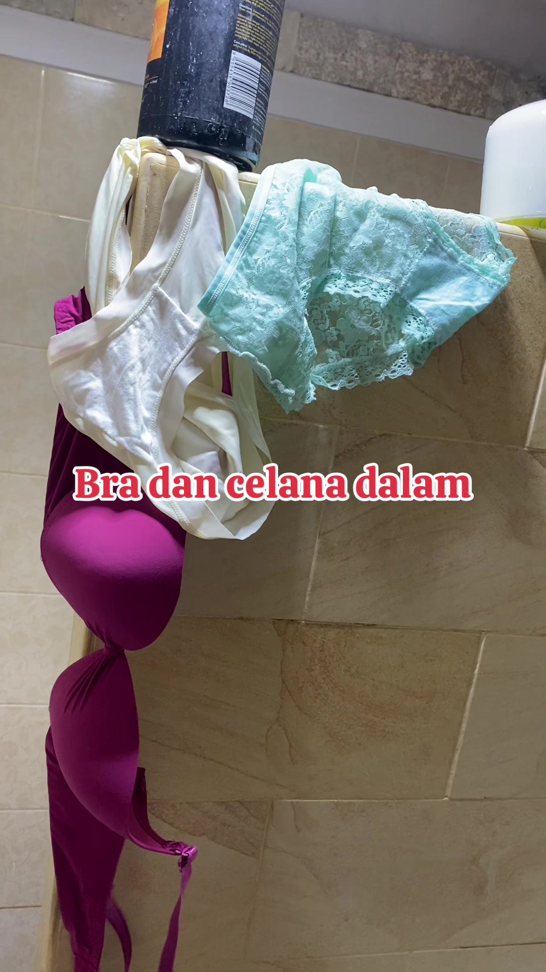 @Daleman Lia