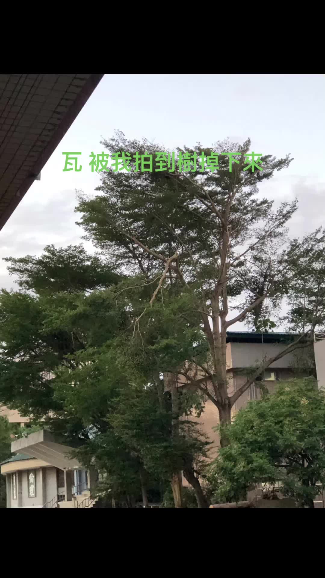 @Hungso