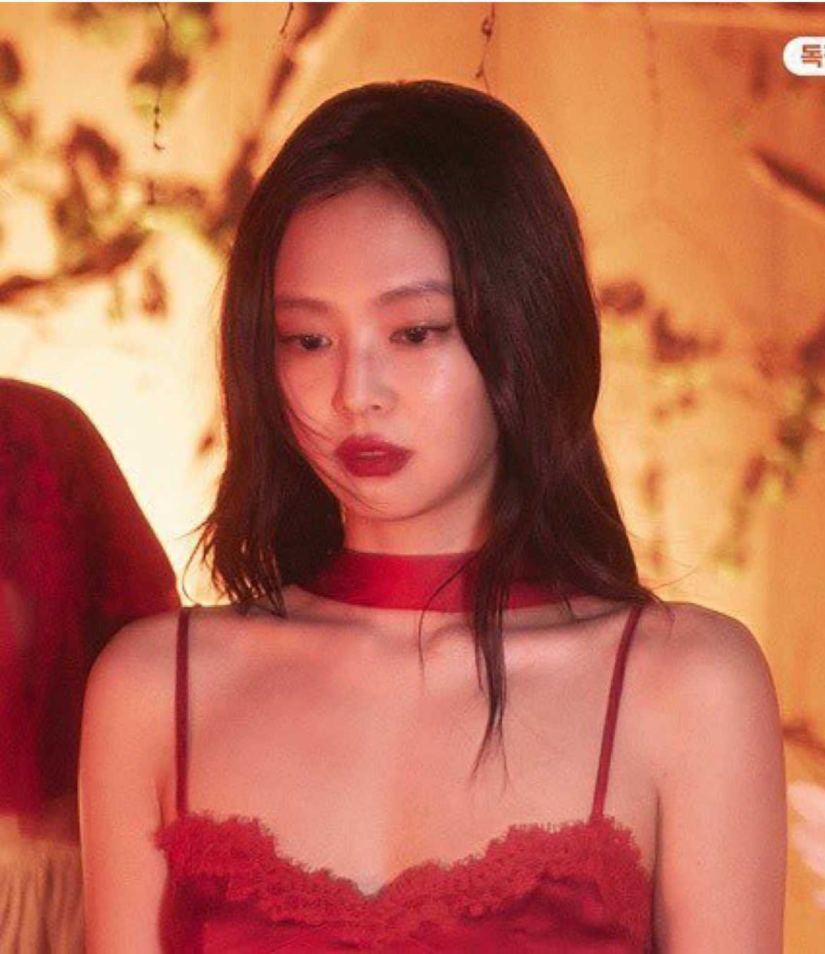 @Koreabase