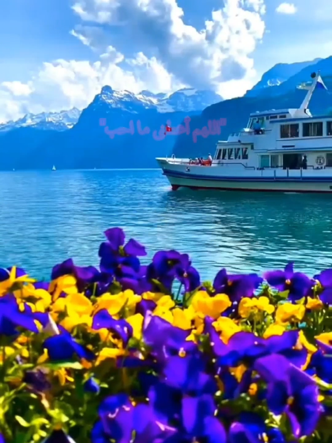 @القرآن الكريم 1