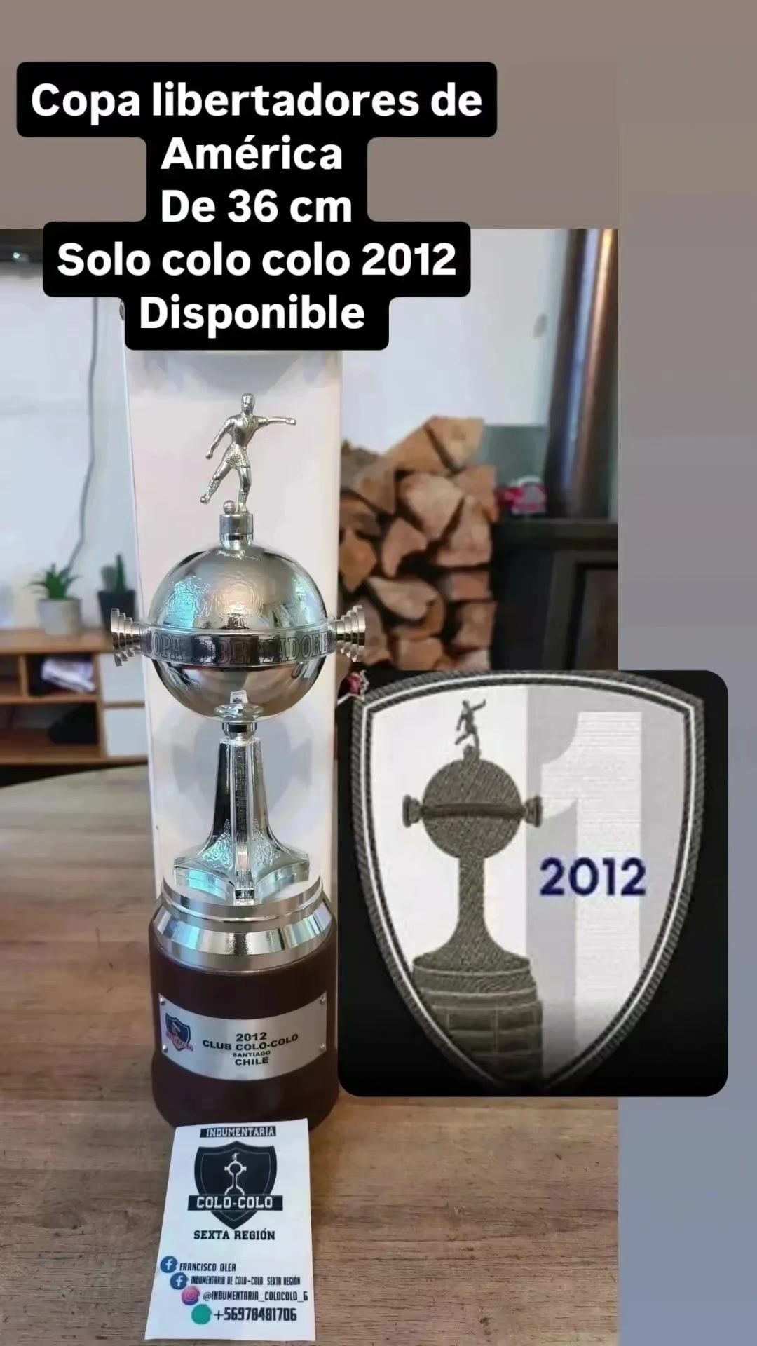 @indumentaria_colocolo_6