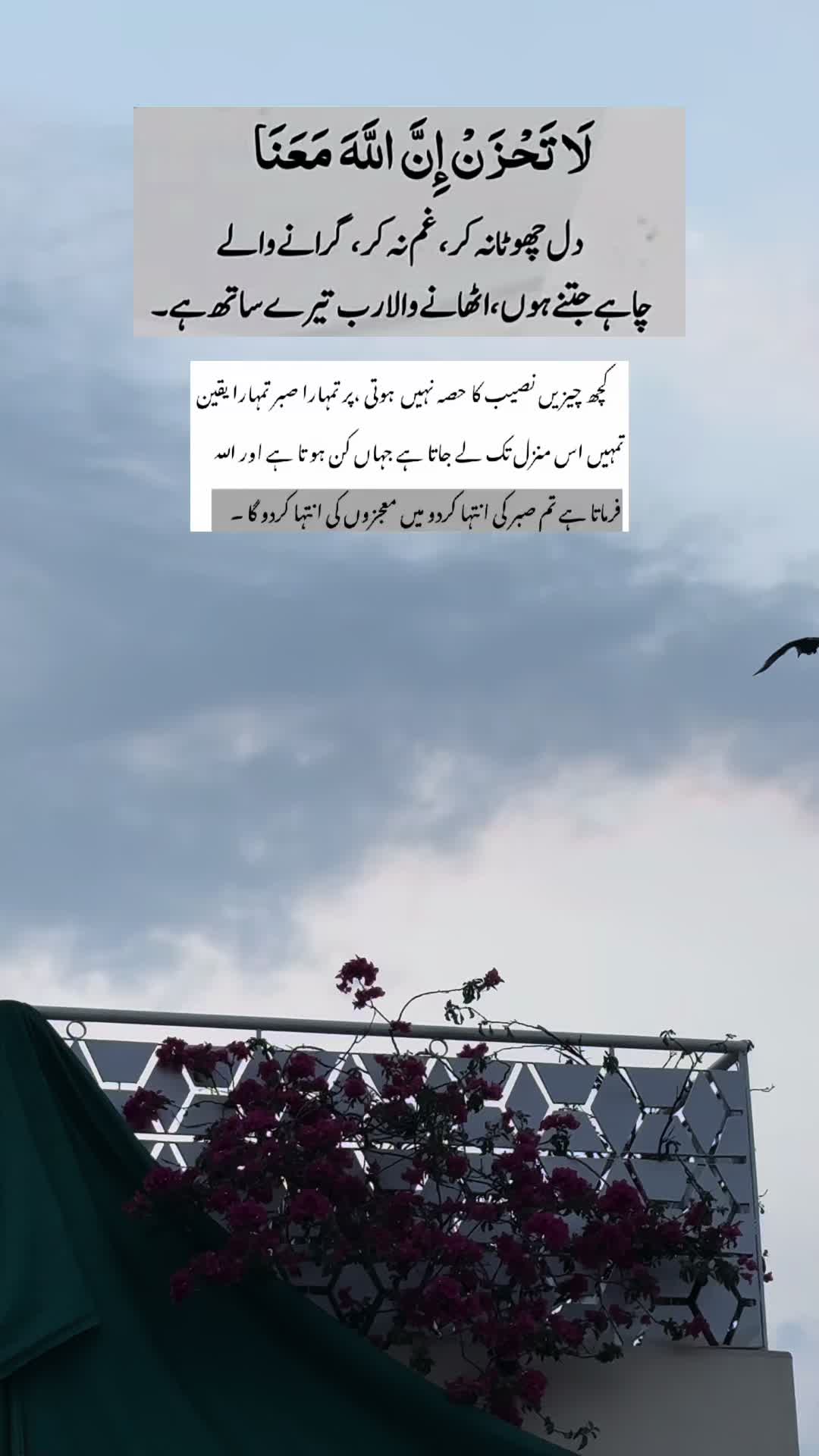 @ayeshazaib_777