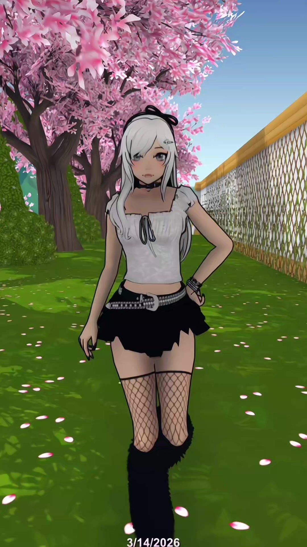 @๐๐๐๐ค๐จ๐ โ. ห