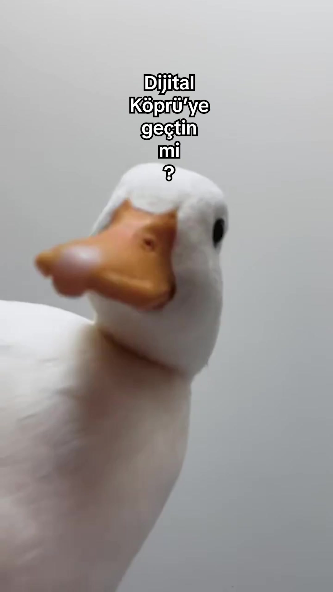@Saraylı Mefruşat