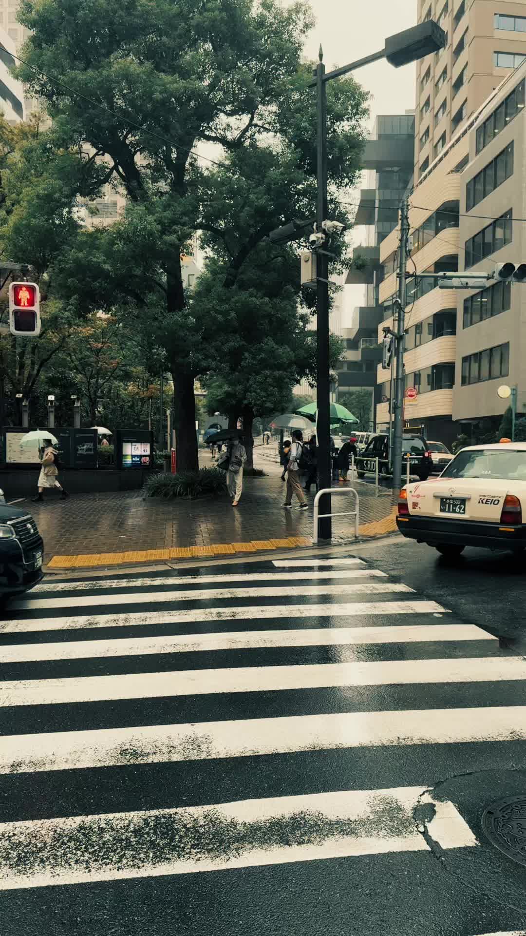 @レイ🌱