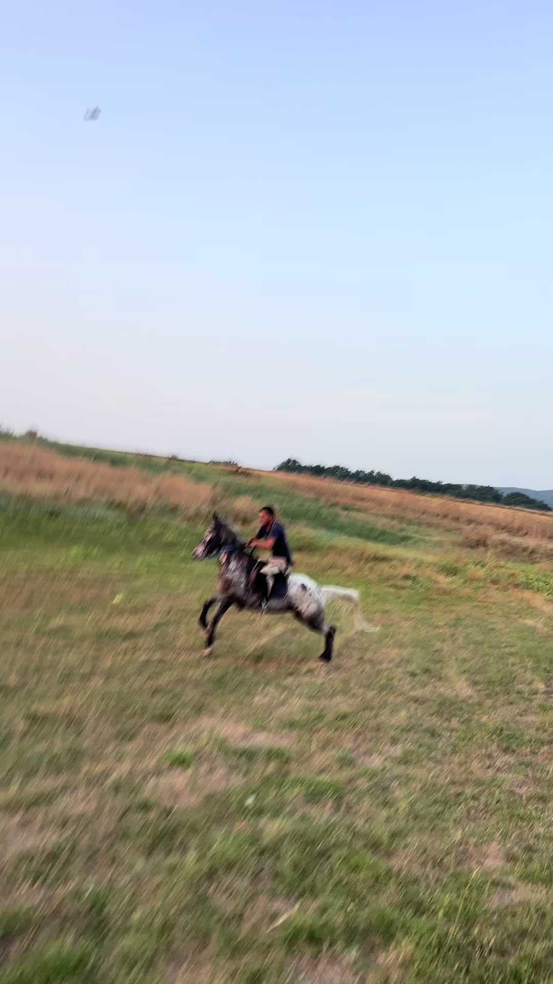 @BERTI RANCH 🐎
