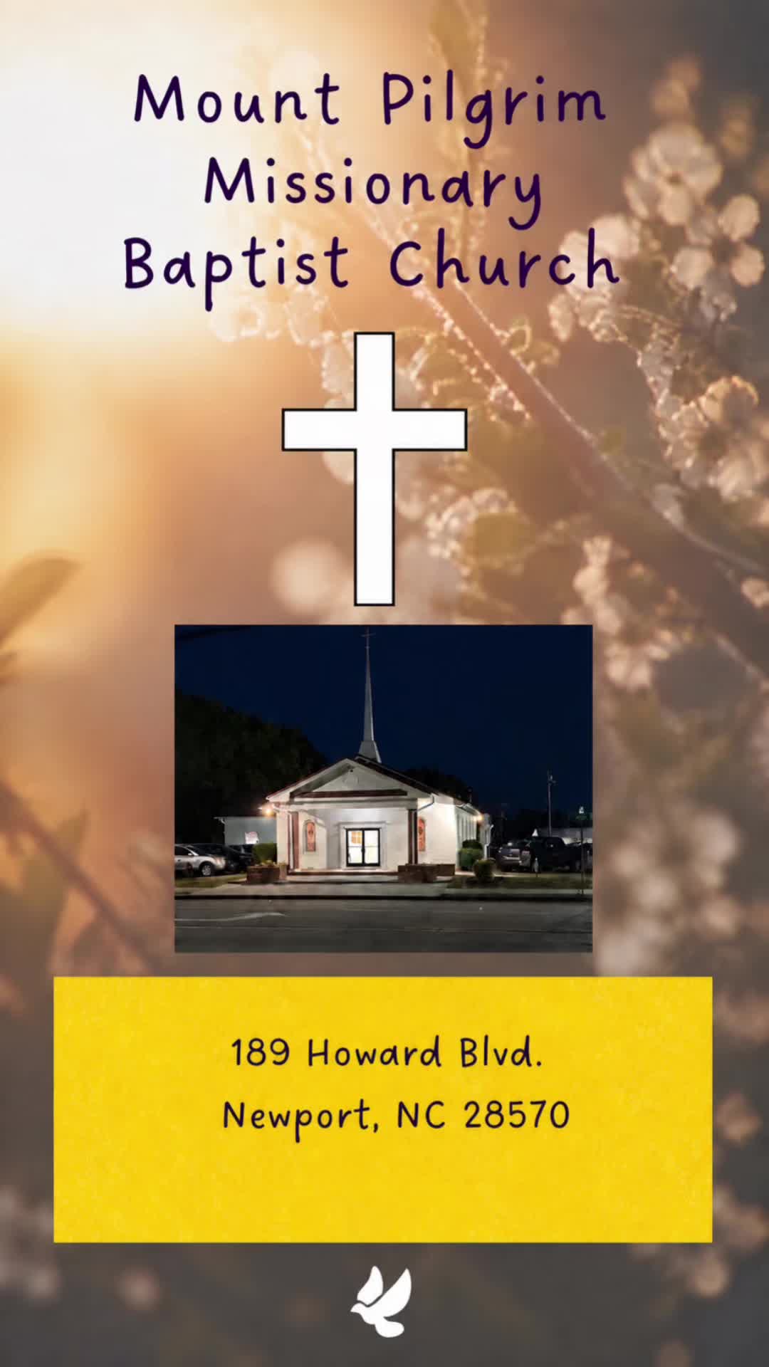 @mtpilgrimmissionairybapt