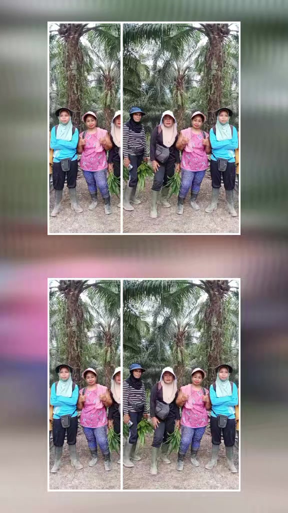 @wulandari