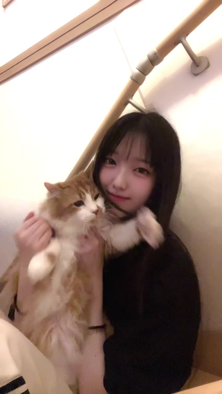 @森斗咲羽🌳