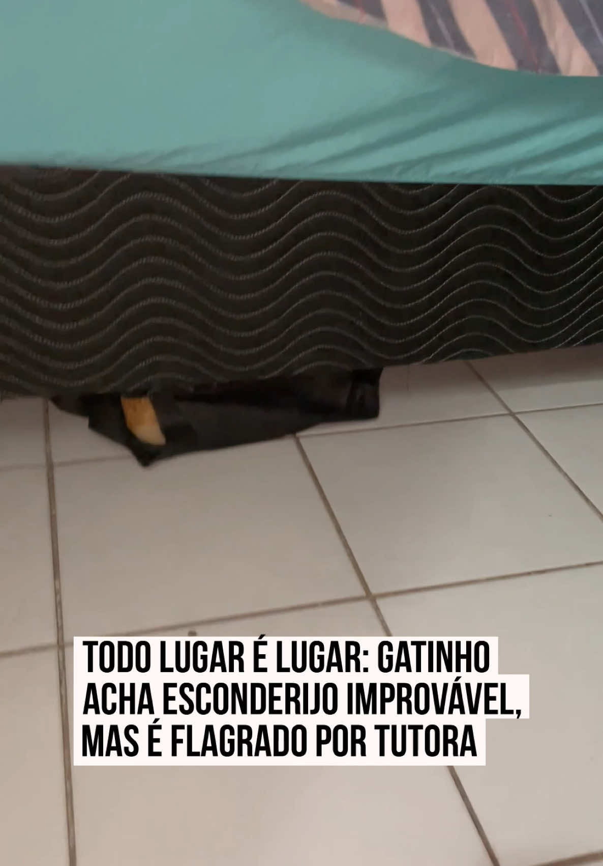 @Metrópoles Oficial
