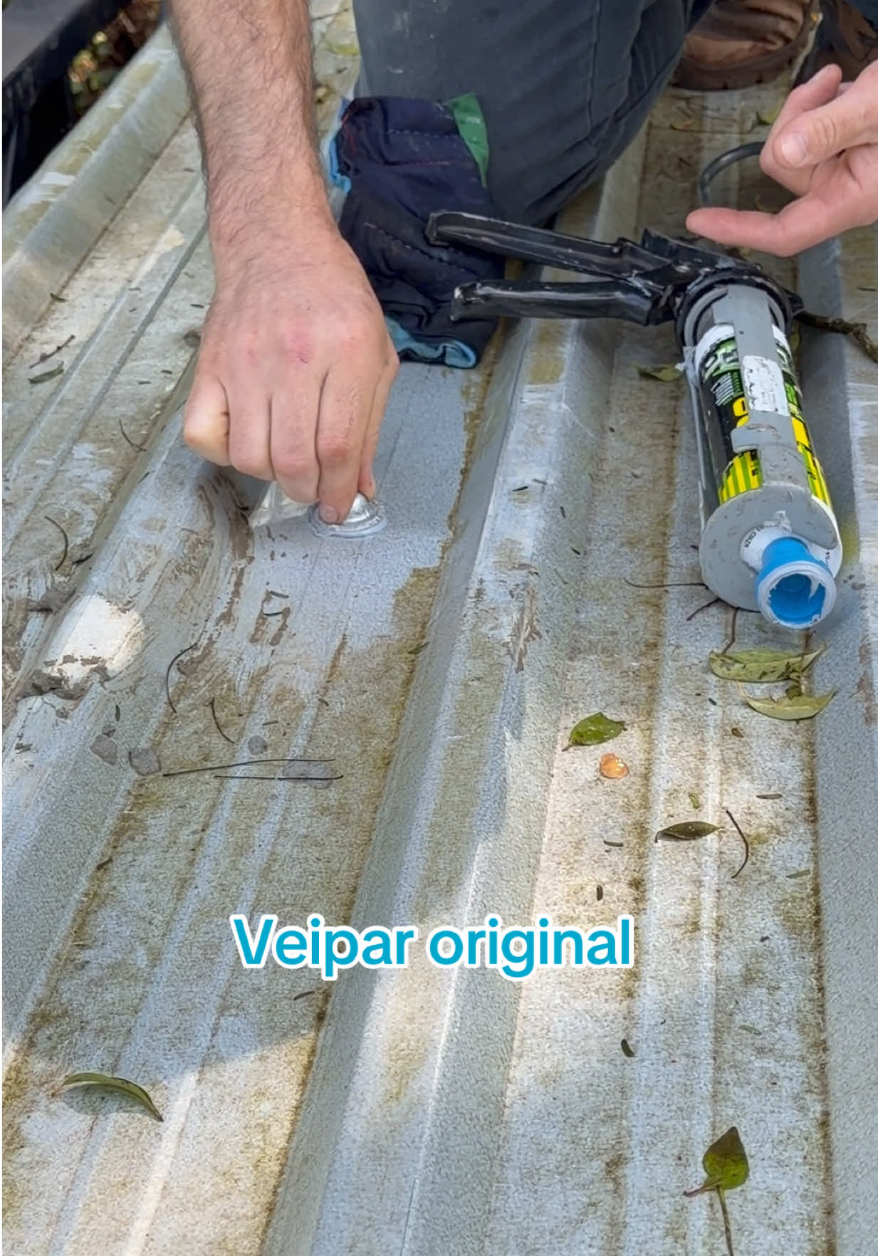 @Veimar Alves - Veipar