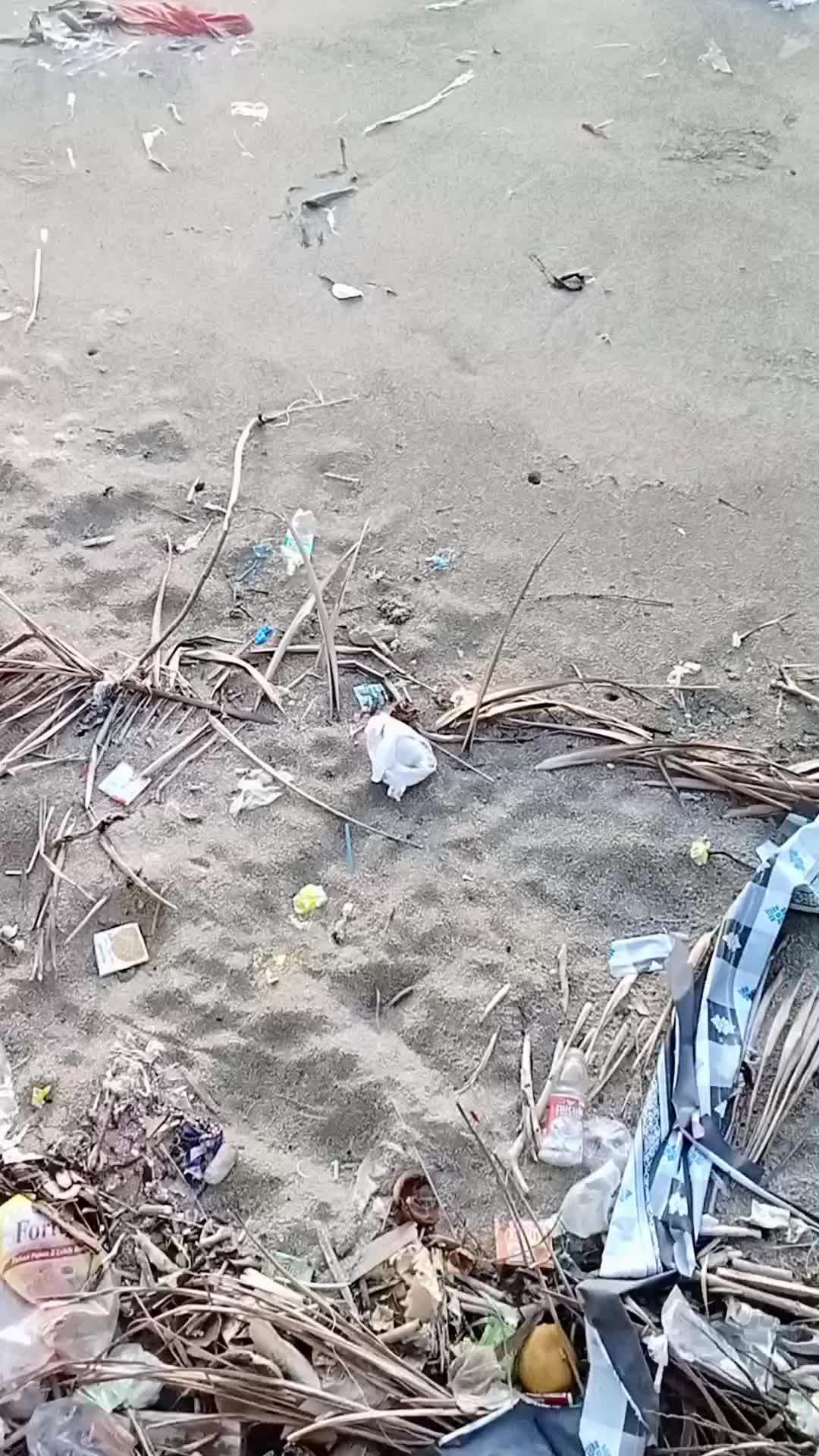 @𝙊𝙇𝙀𝙉𝙂⚡