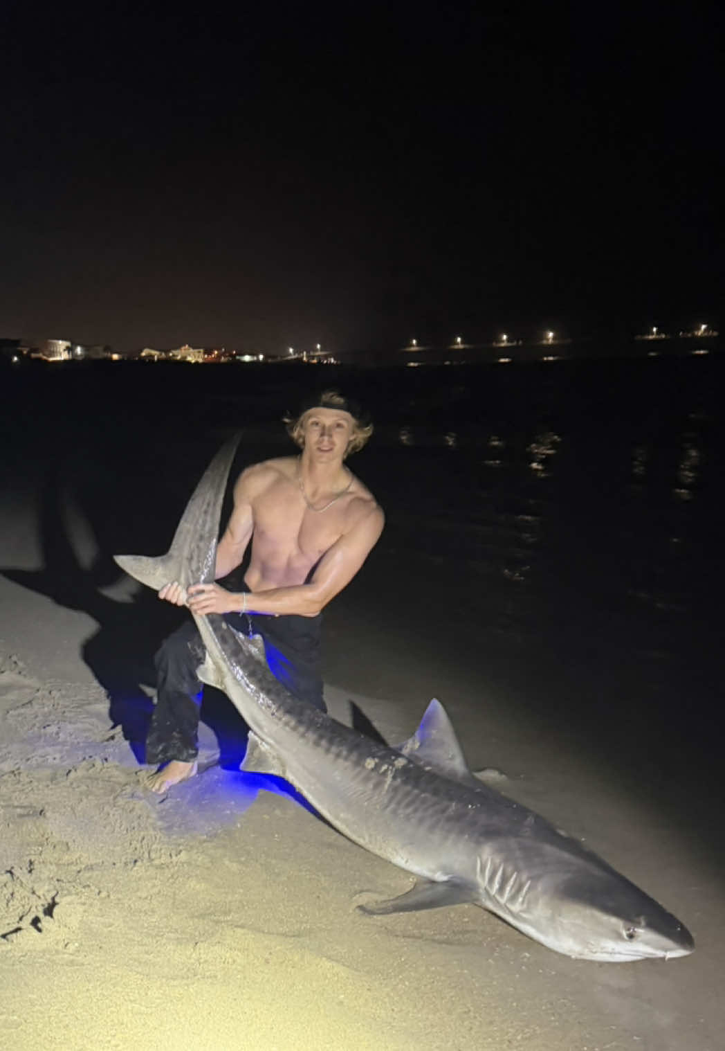 @ILM Shark Club