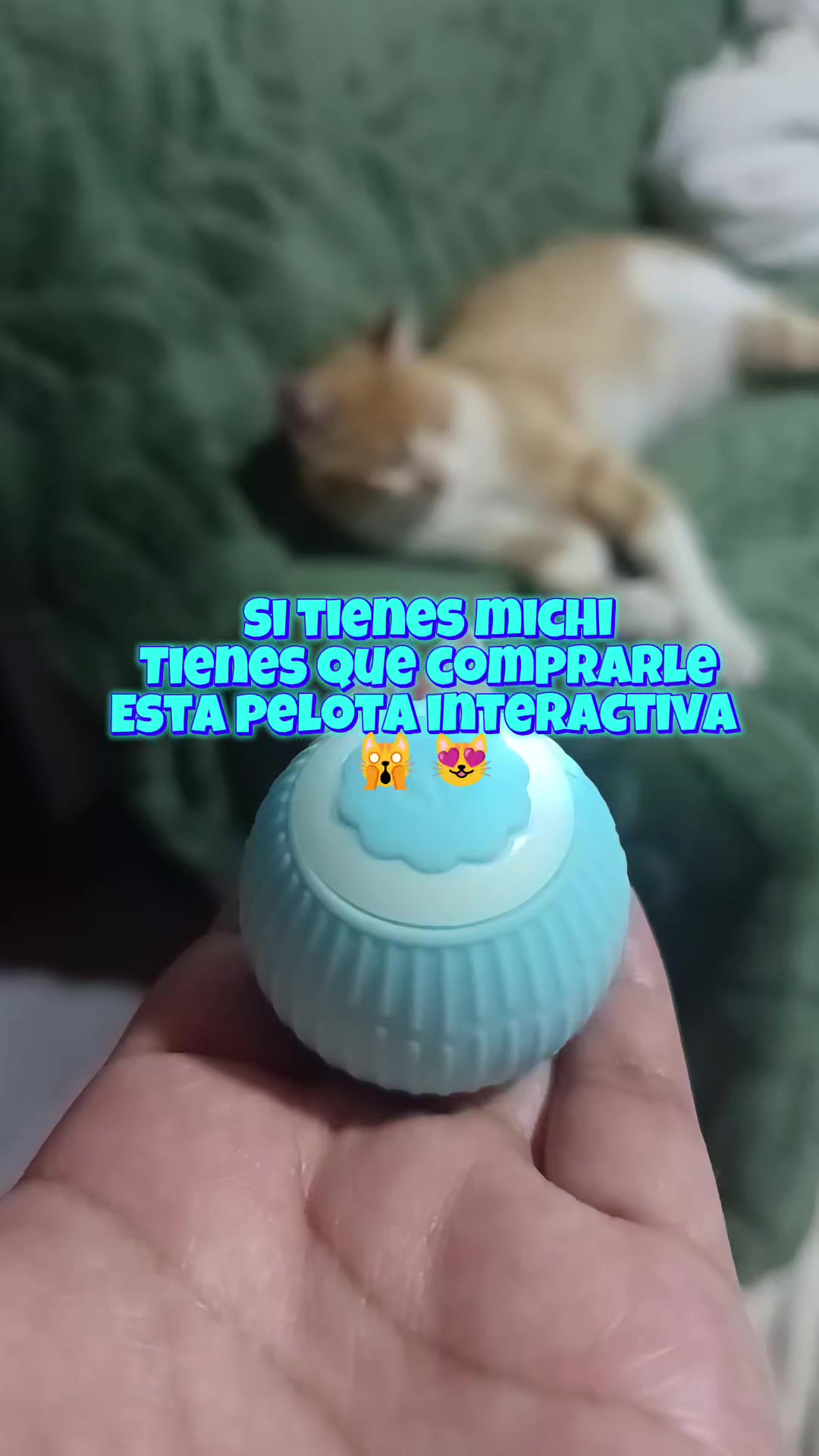 @Importadora Sisu