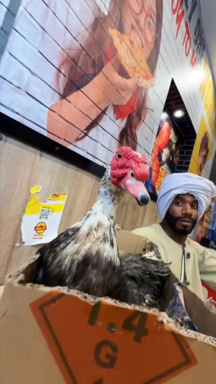 @الكاشف 👑 ( وزير السعاده )