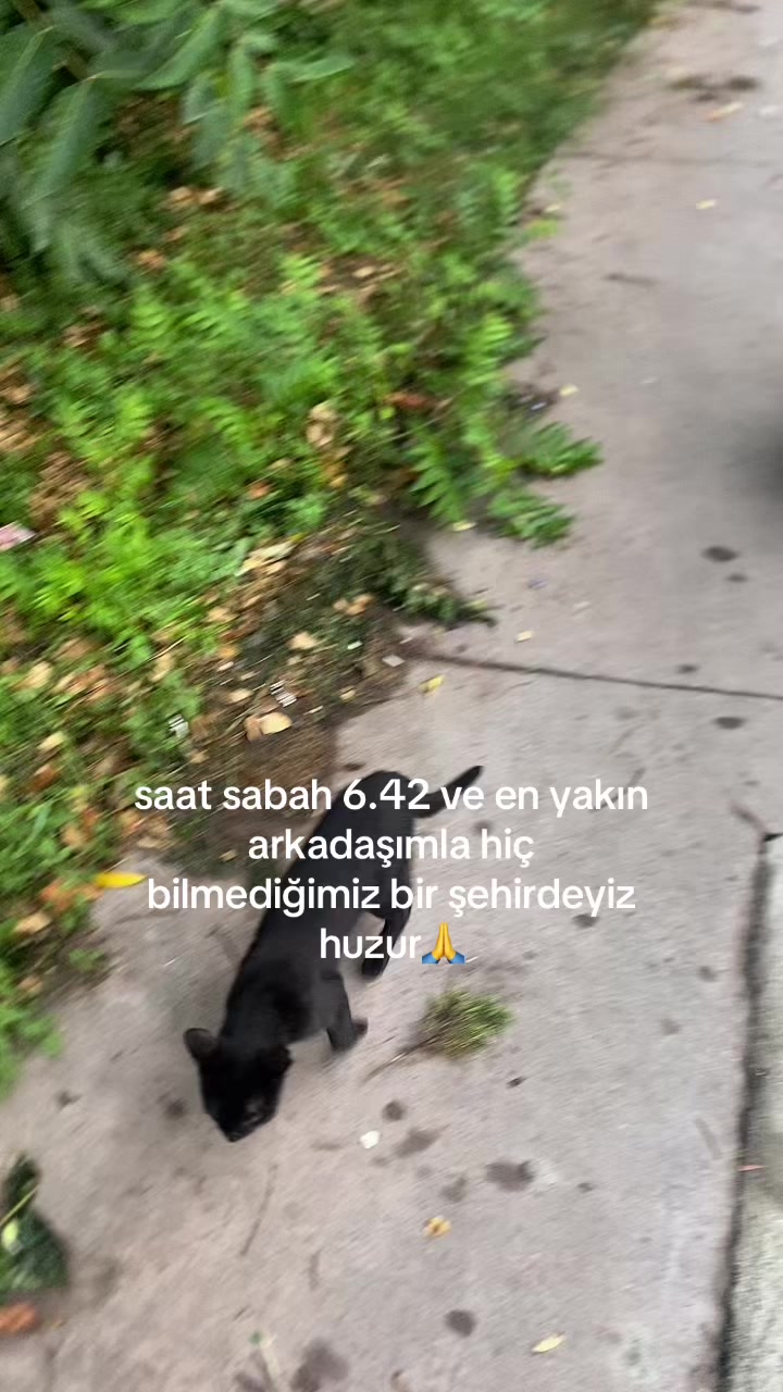 @babyyzeey