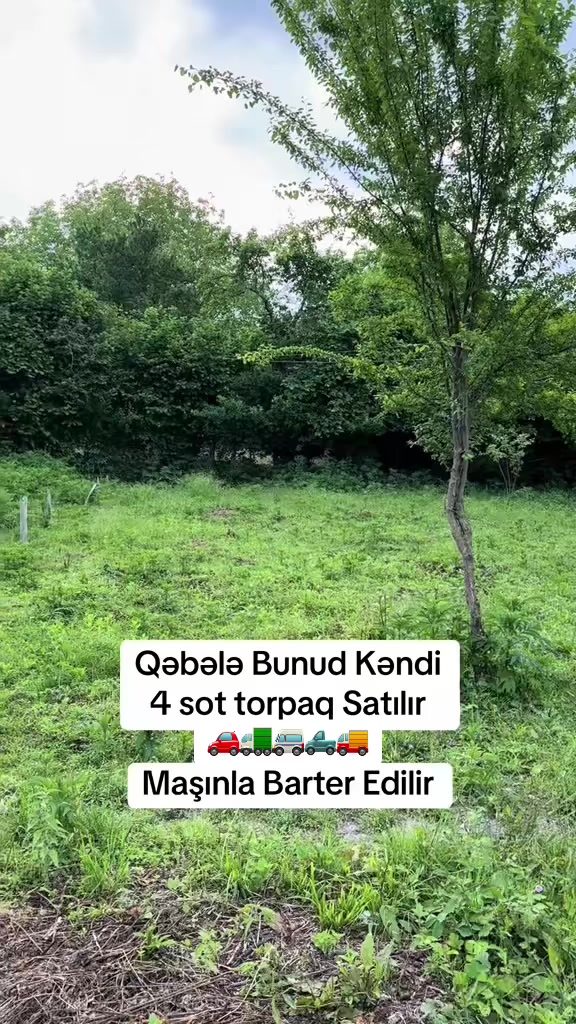 @RR Əmlak Qəbəle