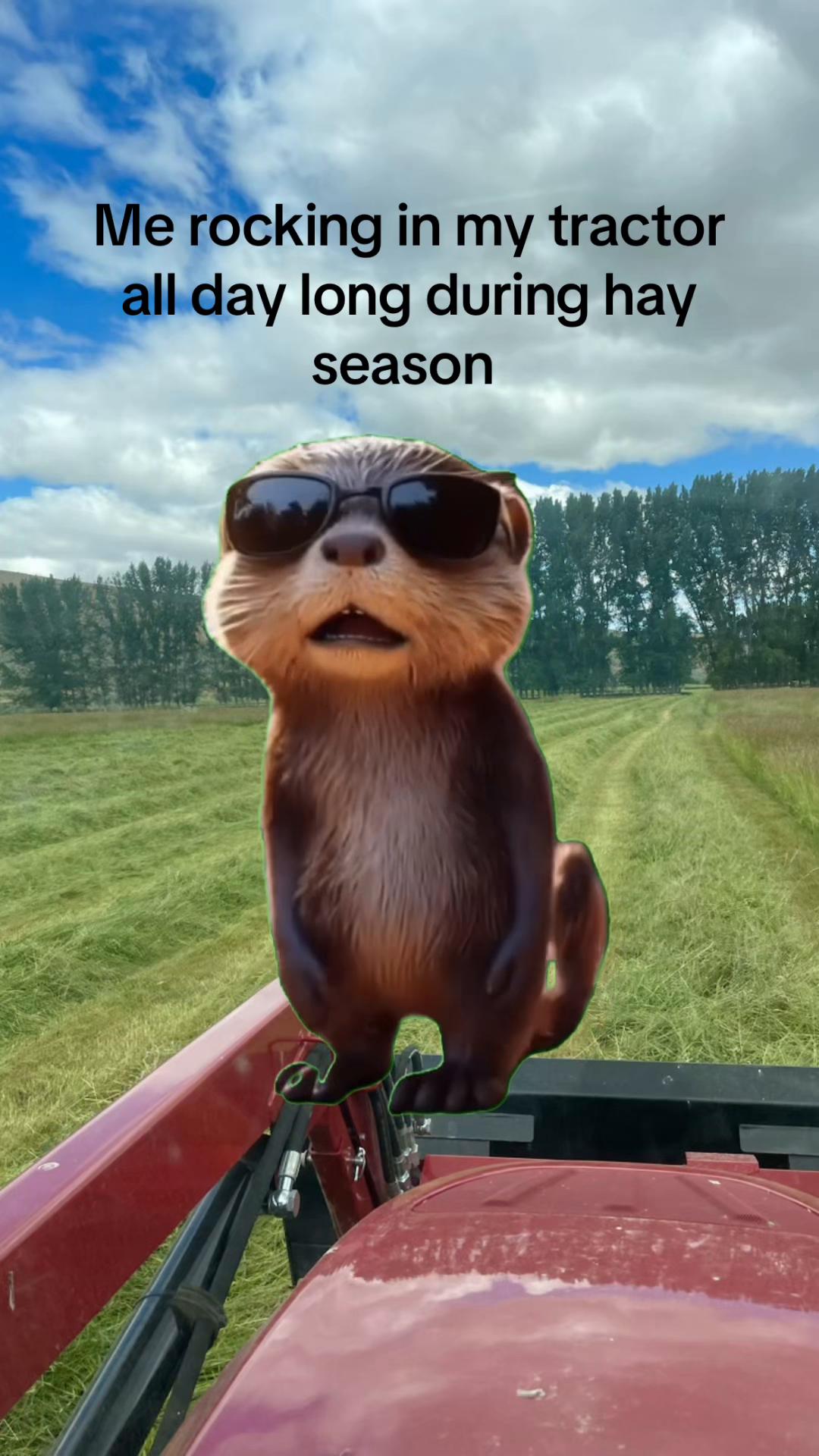 @thatredbarnlady