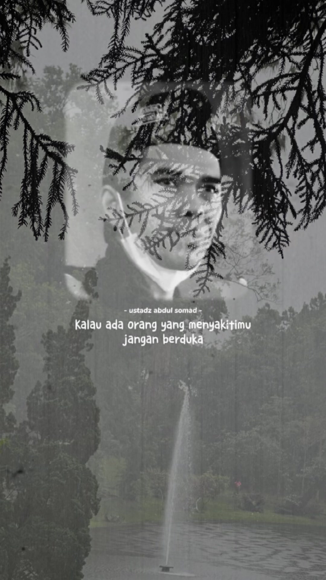 @kireina property