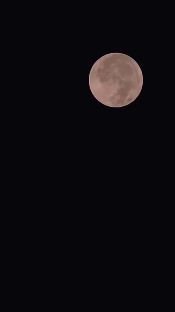 @🧬انت الحیات 🦋
