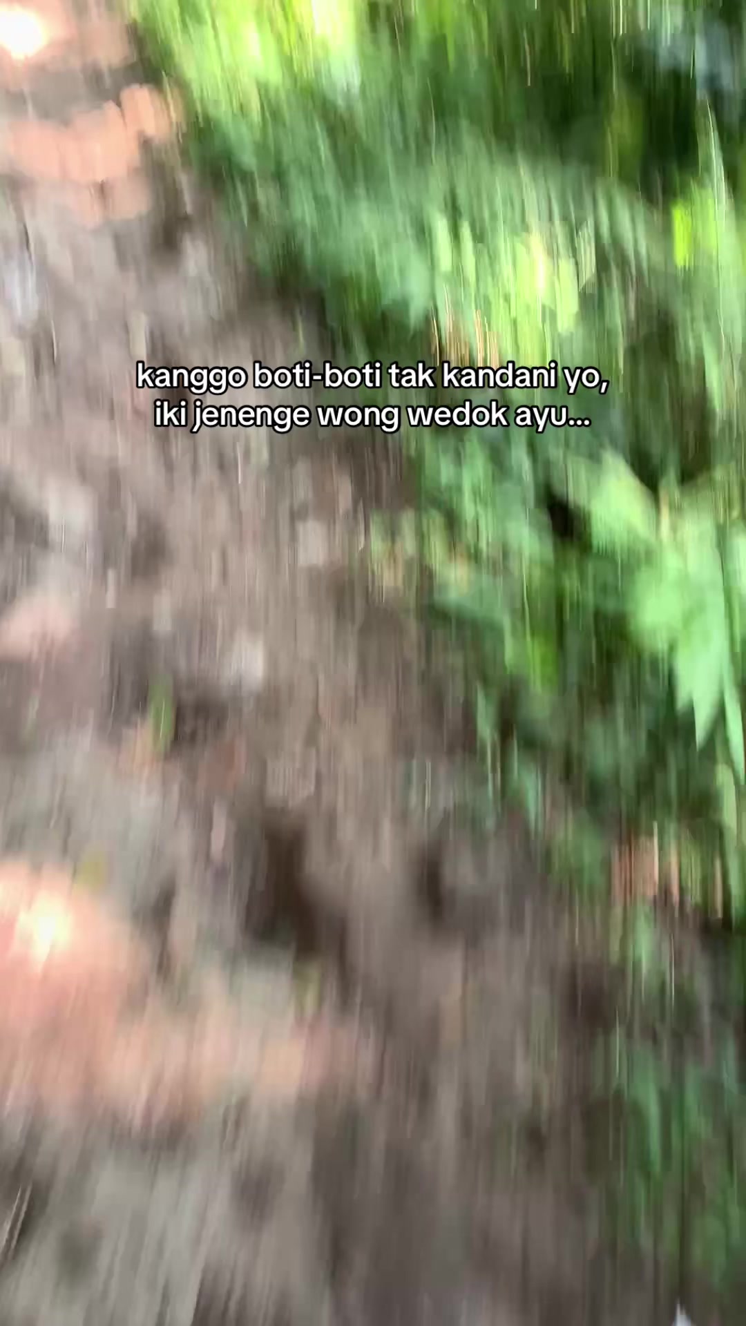@dapa
