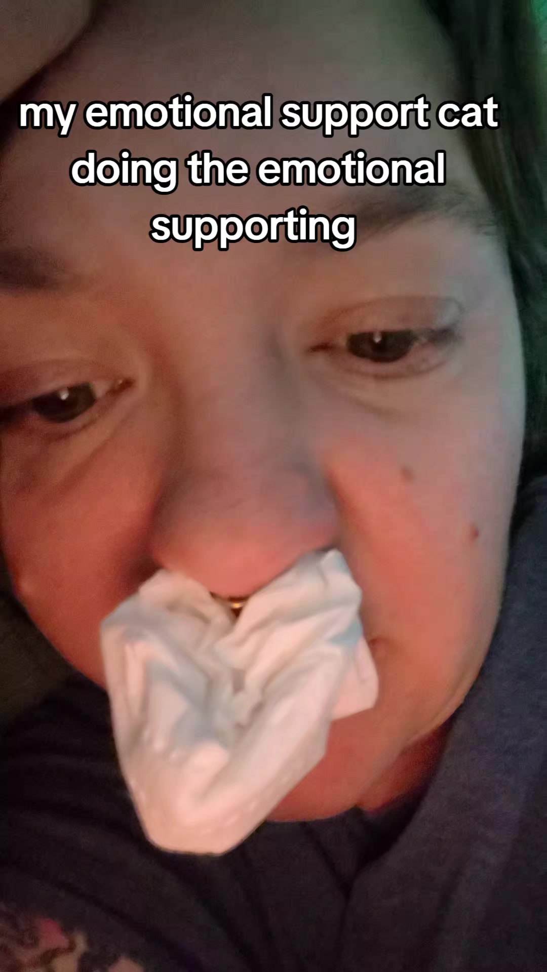 @LizardKing