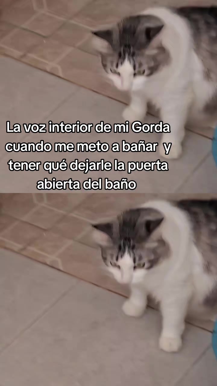 @Nel