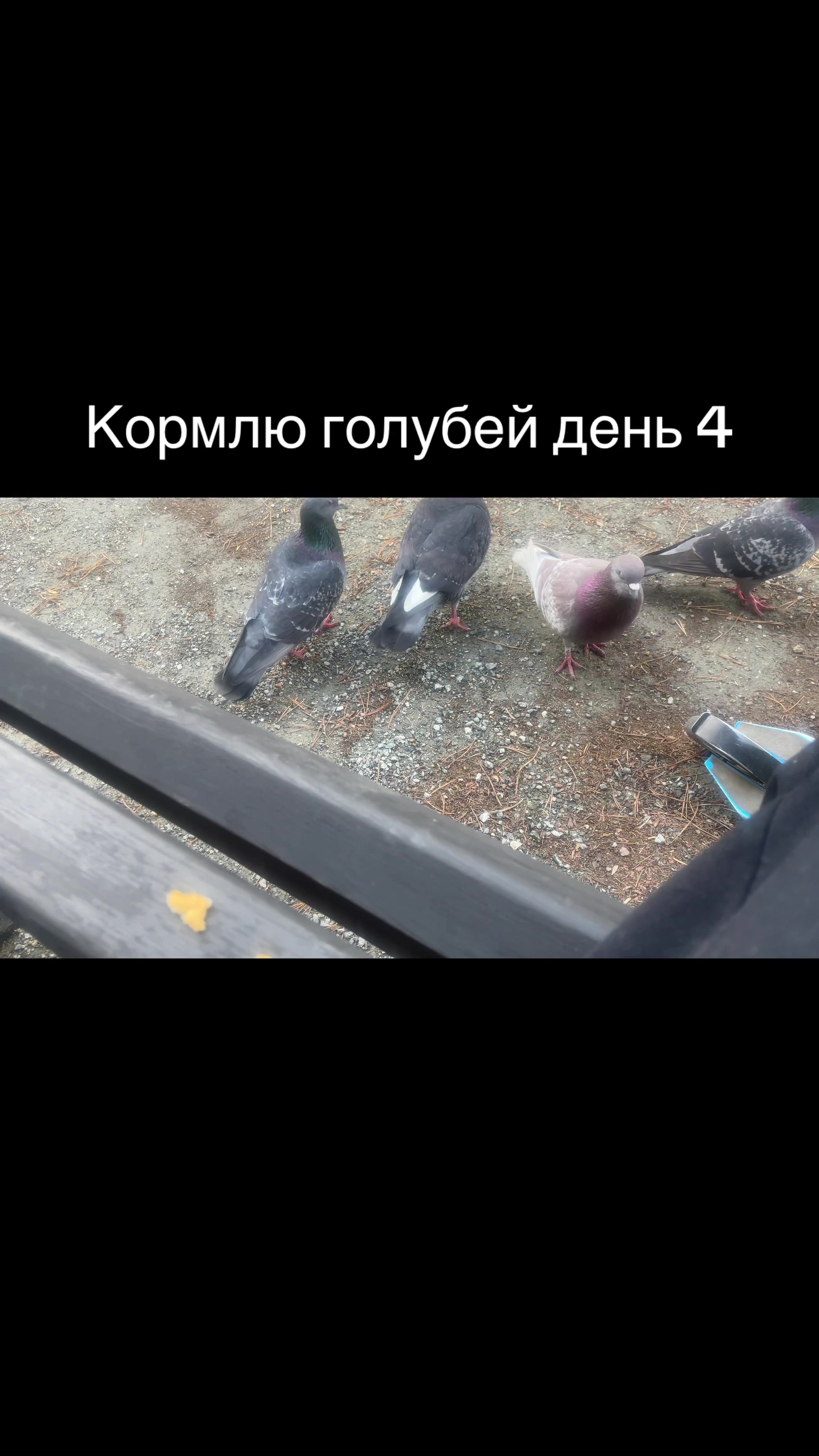 @Севун