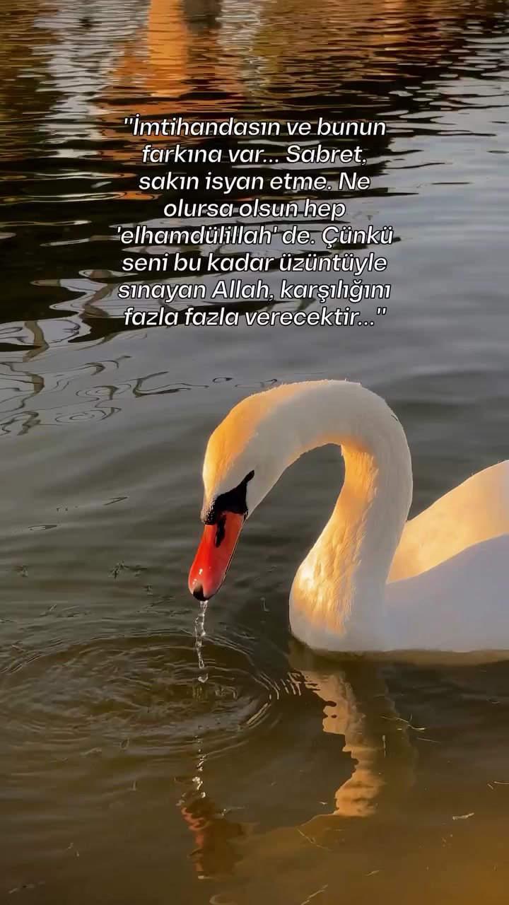 @Serkan Şimşek