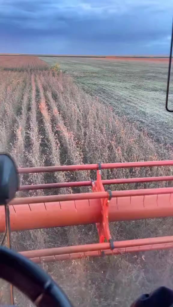 @🇺🇦🌾Agriculture🌾🇺🇦