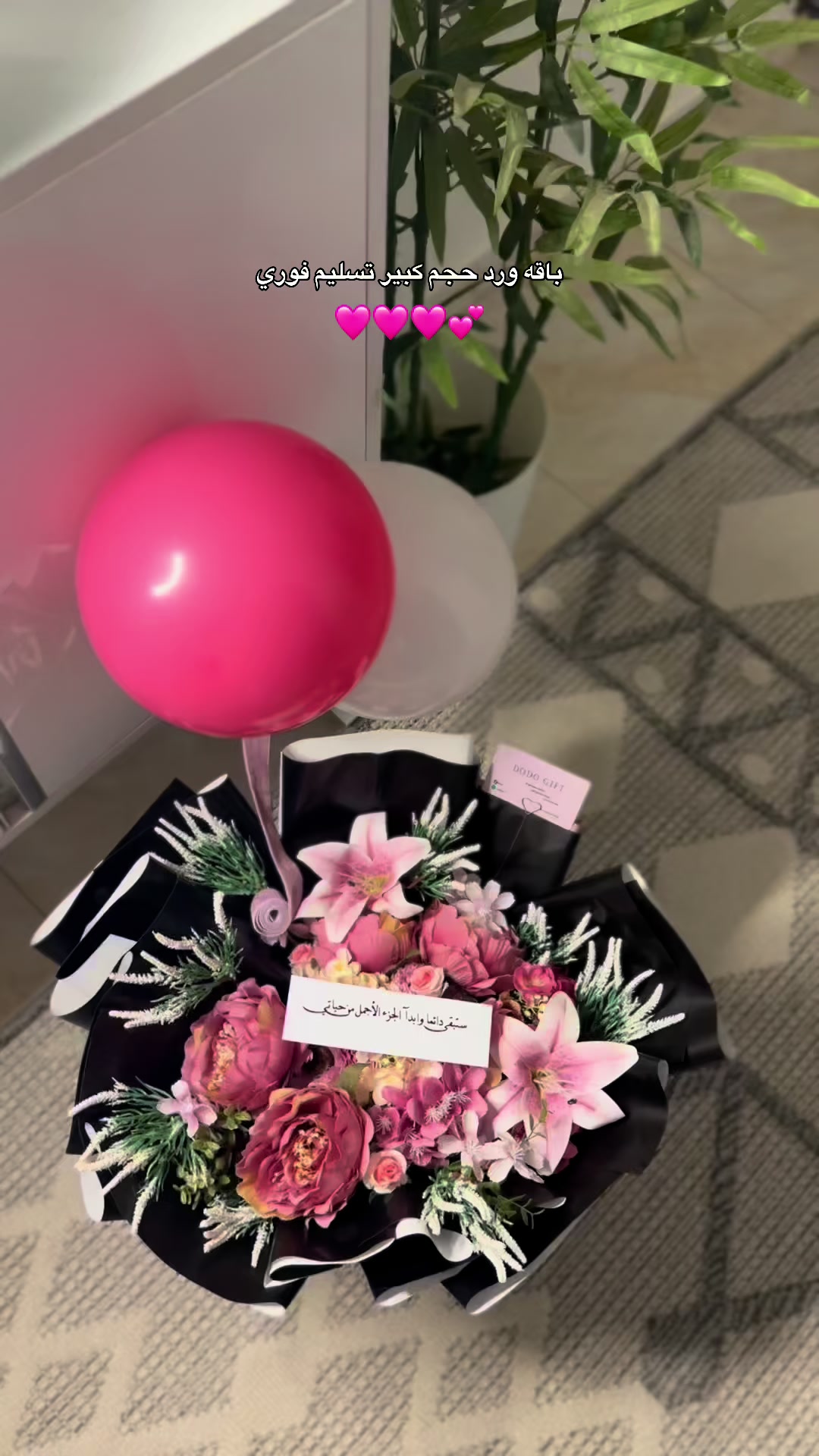 @دُعاء،بوبكر🪽DODO GIFT