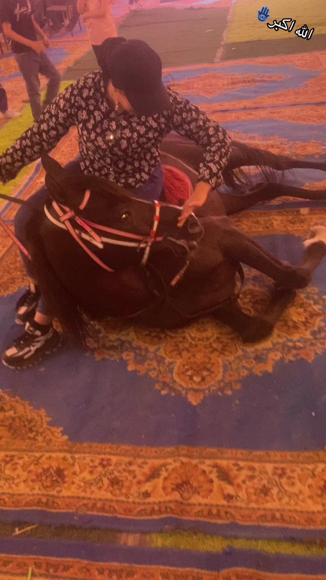 @الكابتن عبير🐎🥇🏆