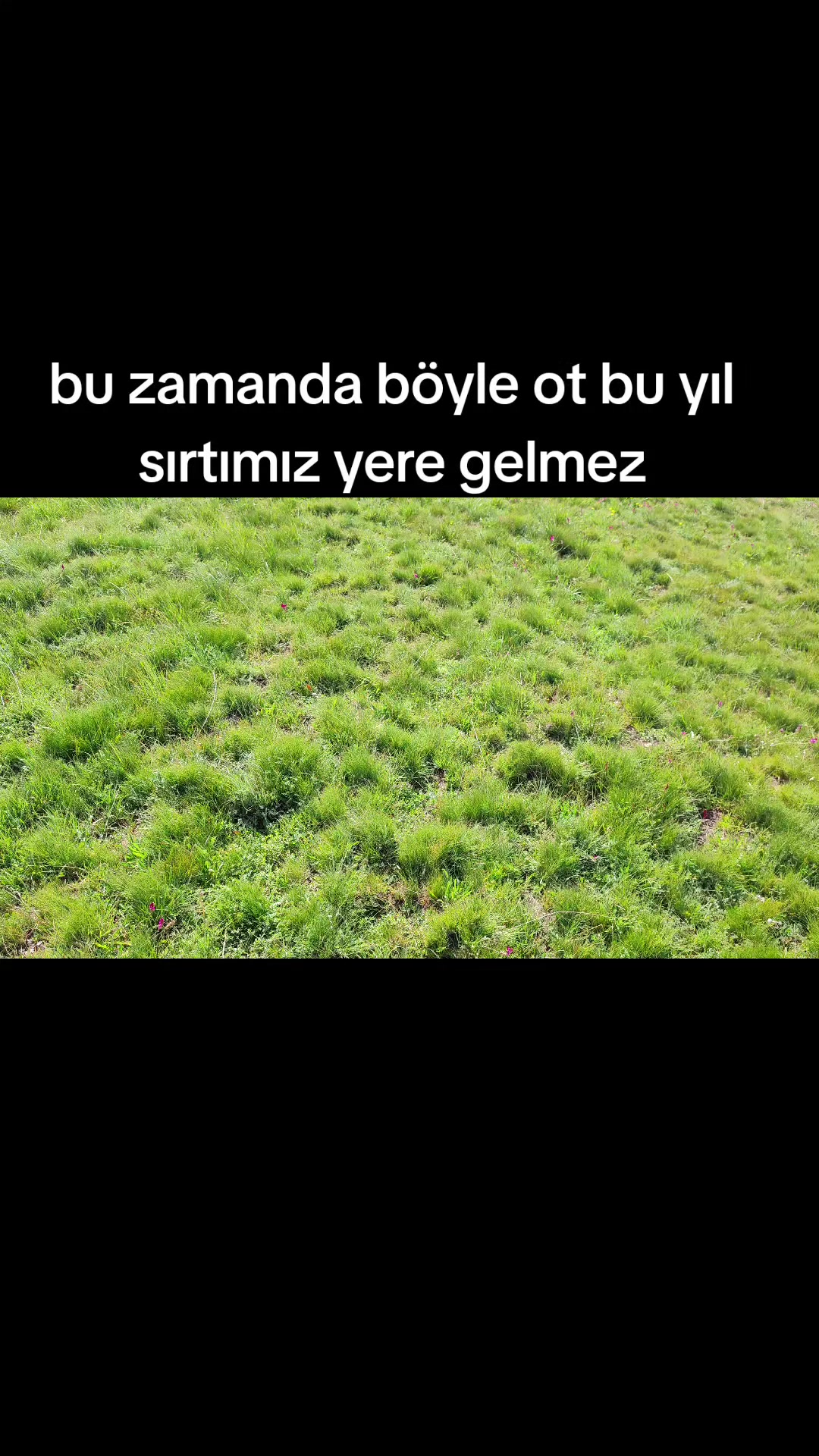 @Emrah Karapınar