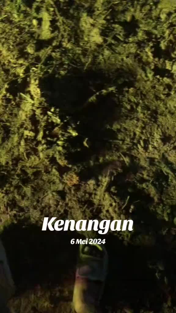 @Akam Asri