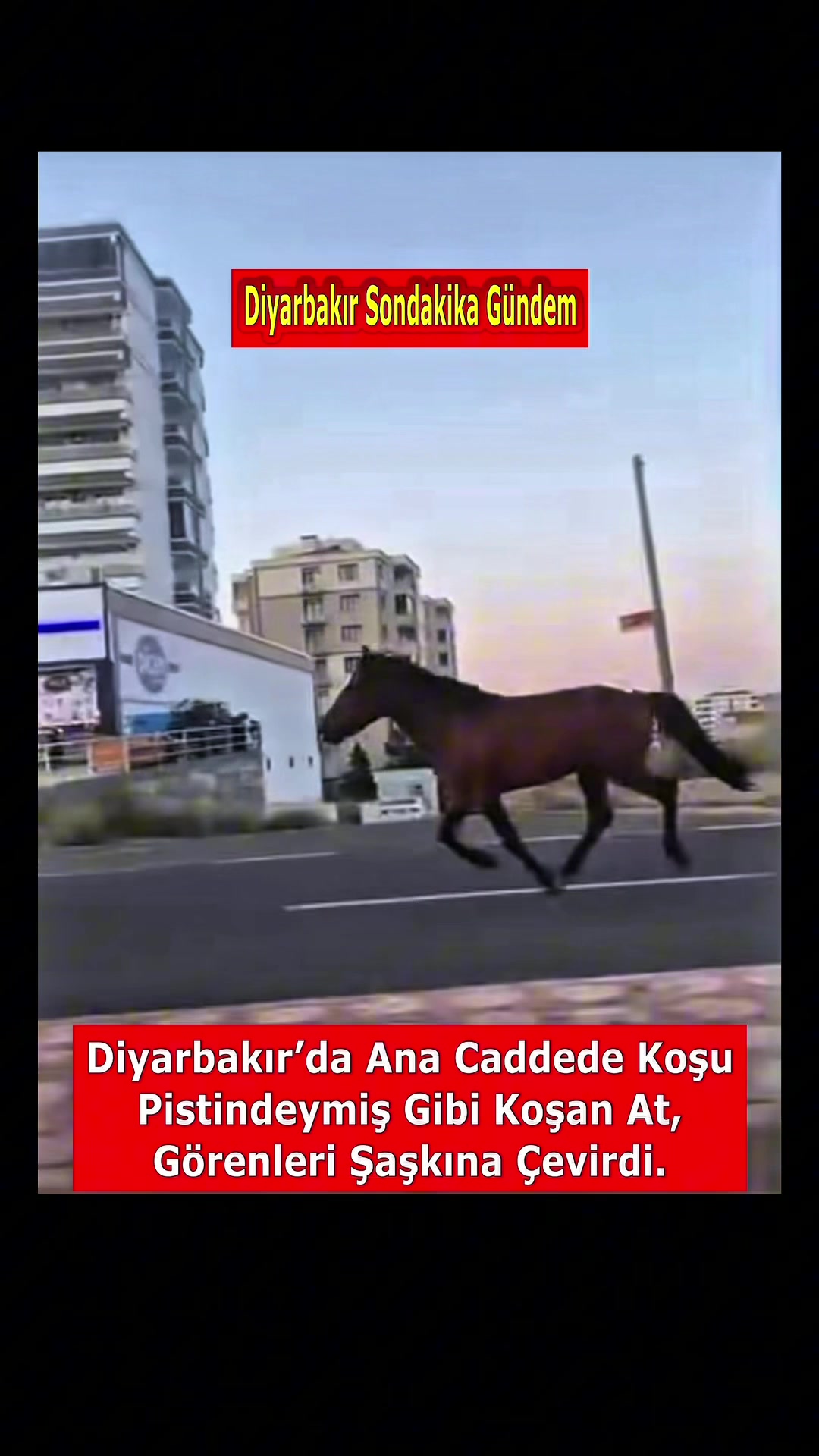 @Diyarbakır Sondakika Gündem
