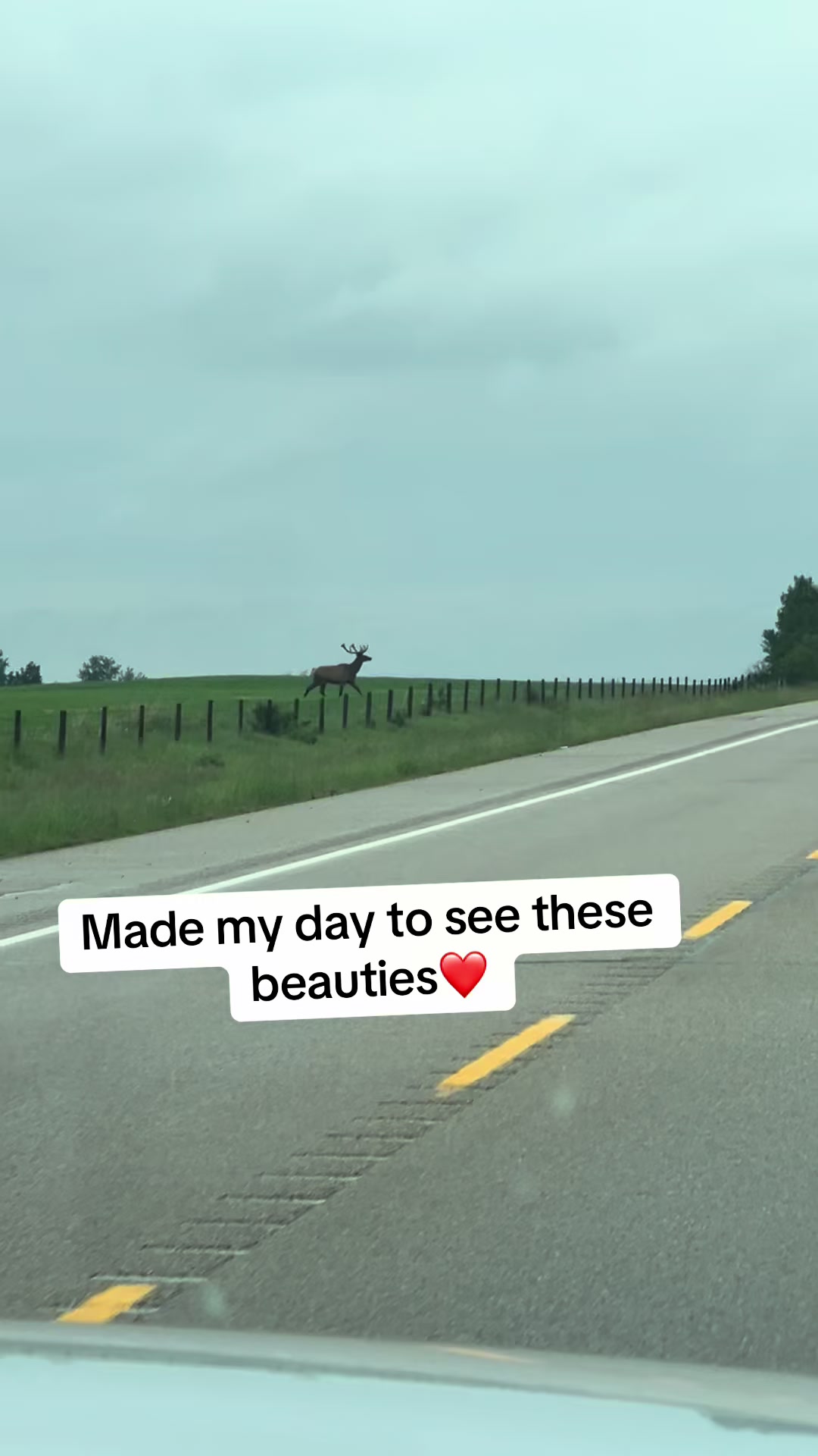 @edmmunster