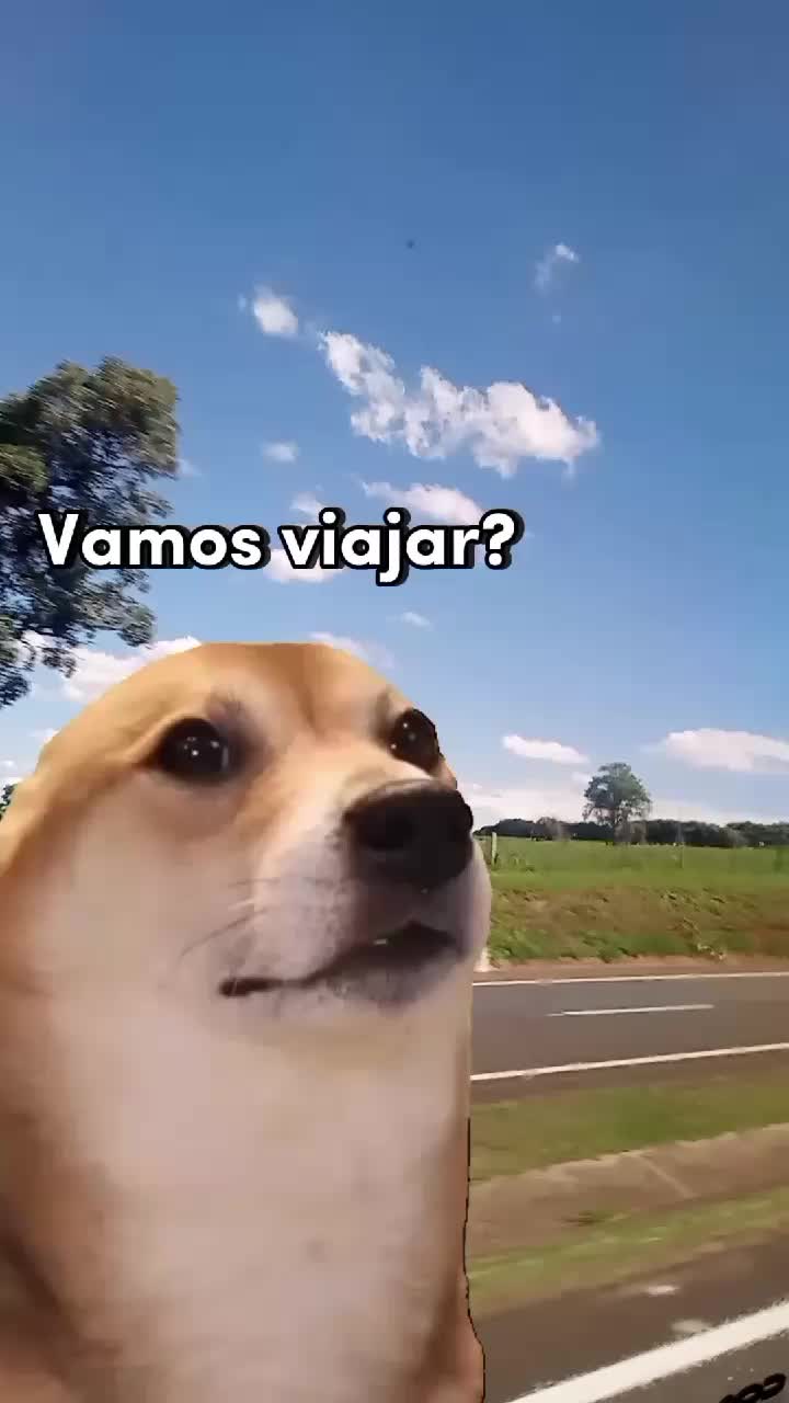 @Bruna