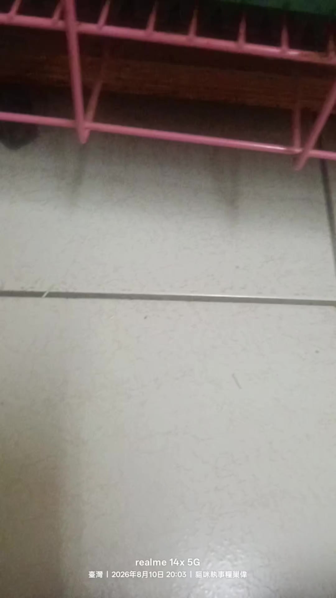 @糧巢偉-貓咪執事