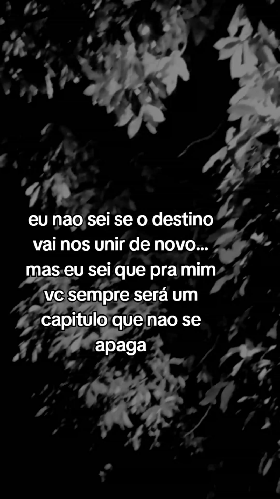 @frases aleatórias