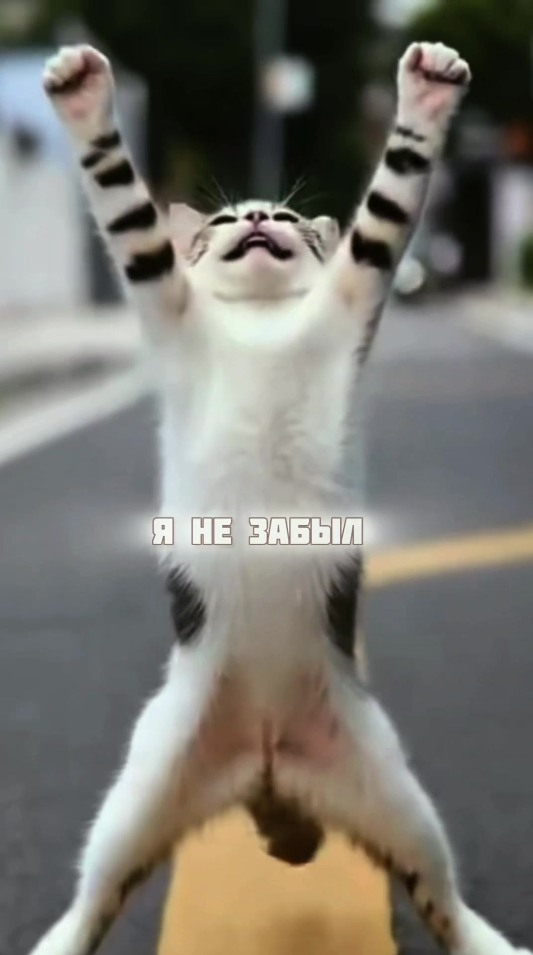 @тгк: Последний вальс