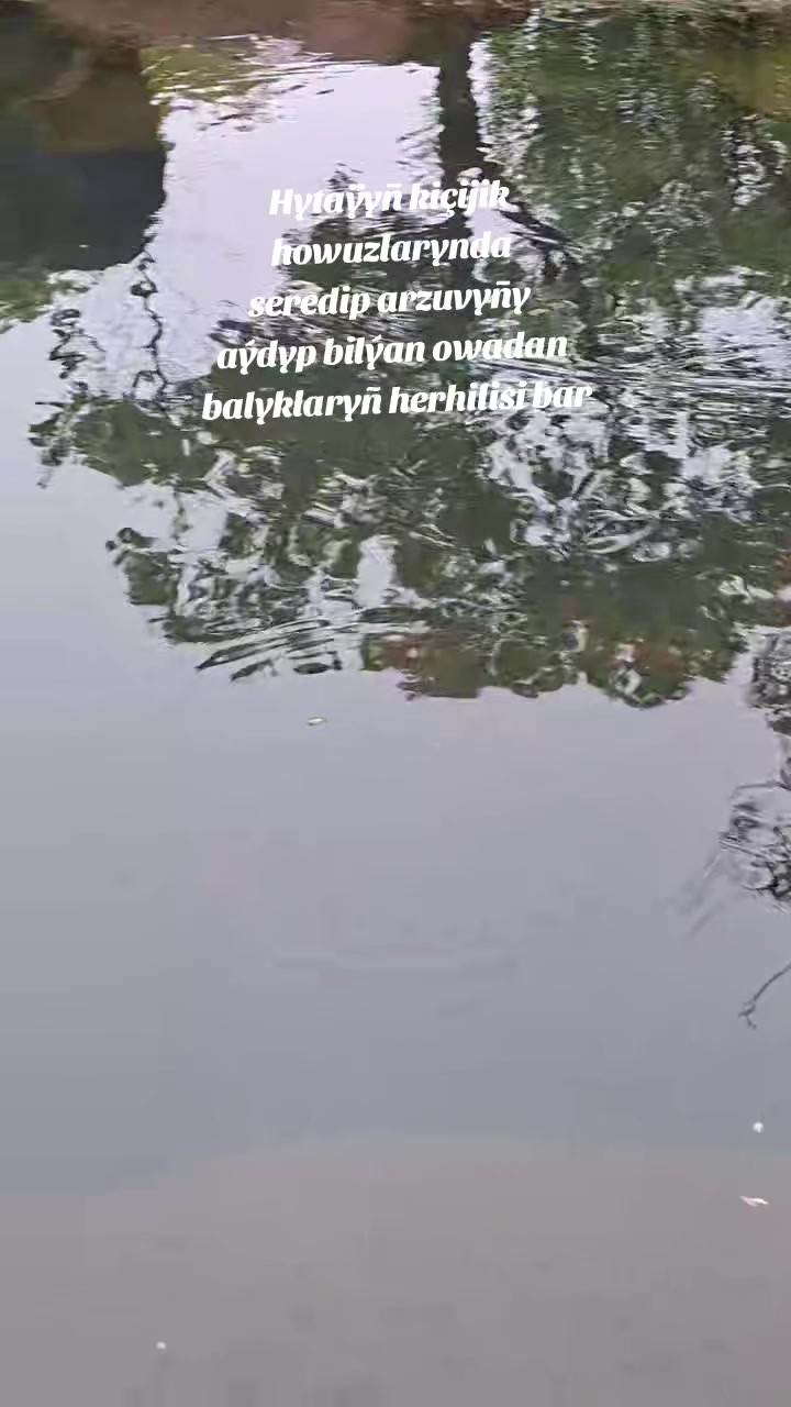 @Ylym we Sy&yacute;ahat