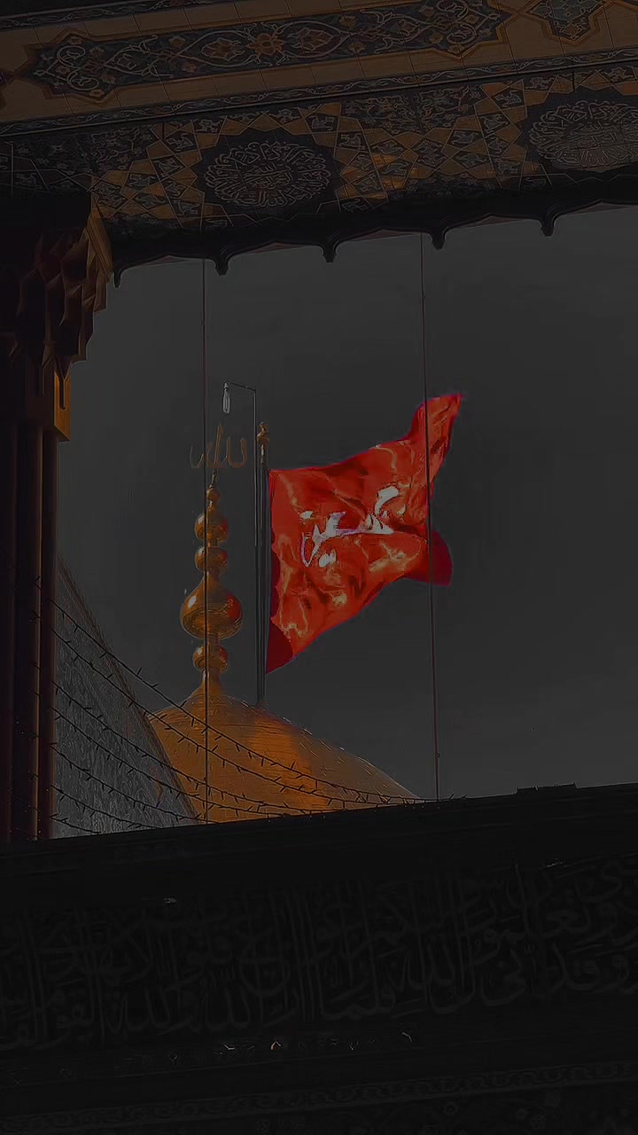 @➪𝐒𝐡𝐢𝐚 𝐇𝐮𝐬𝐬𝐚𝐢𝐧𝐢』
