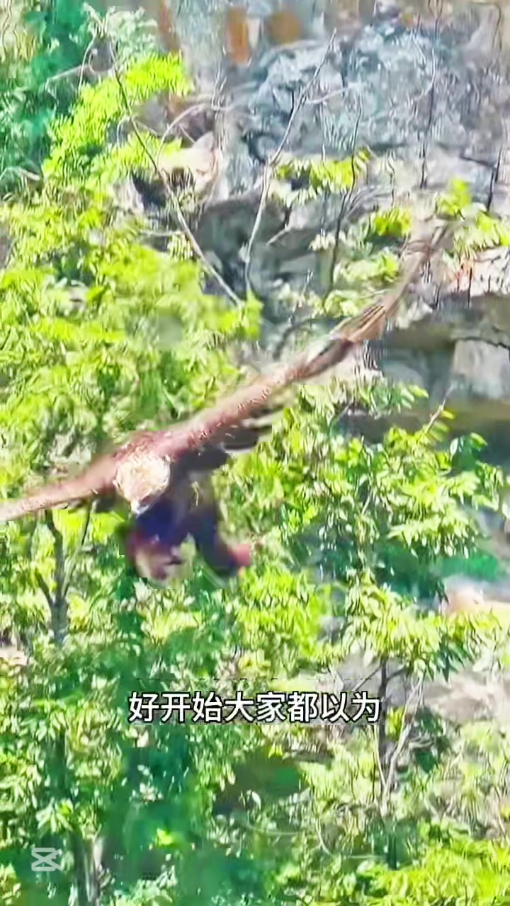 @liujiangyu