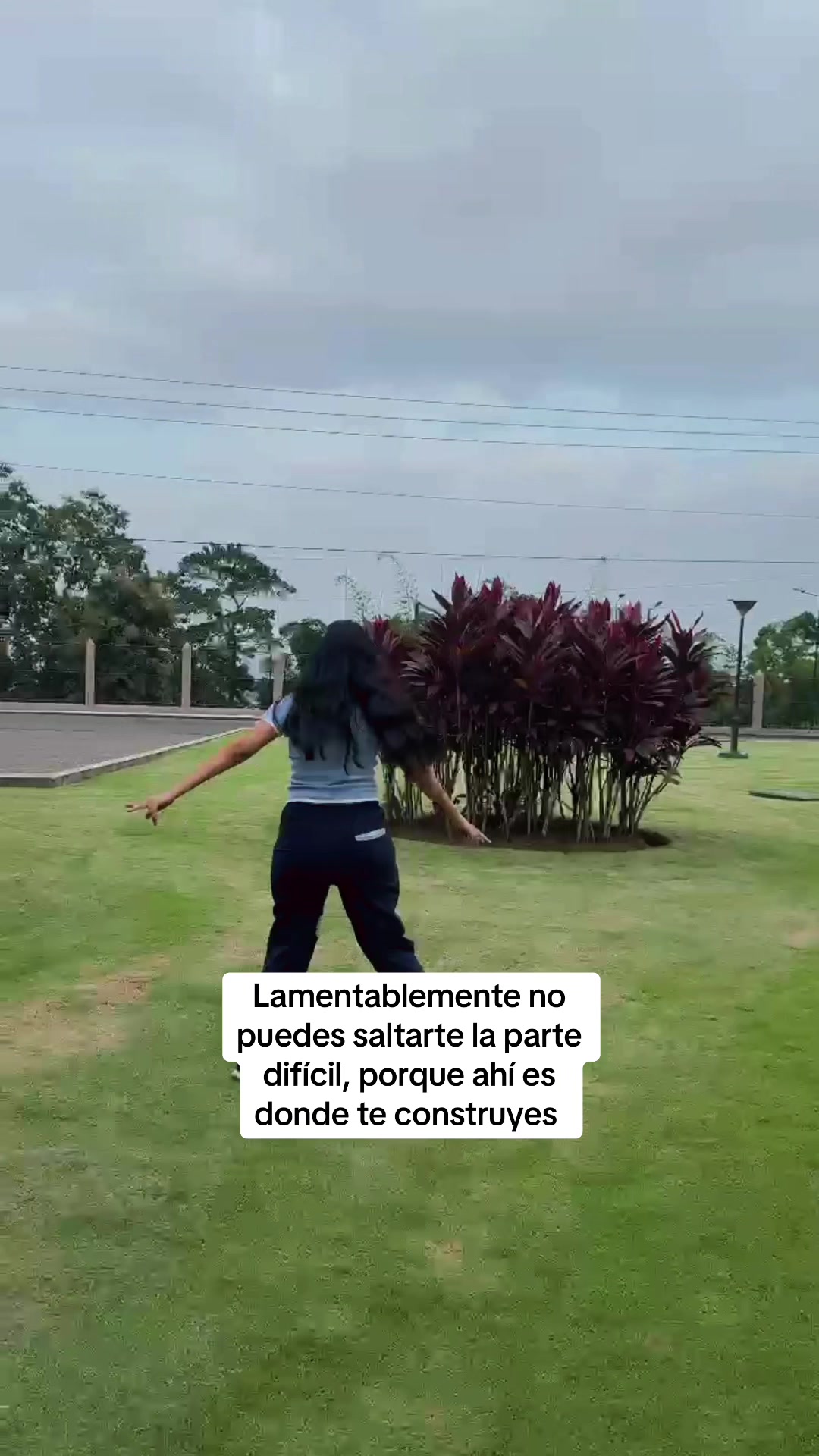 @Ang&eacute;lica Bonoso🌴